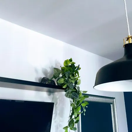 Sun - Volcano Sunset Corralejo